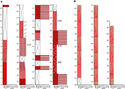 A New Late Permian Burnetiamorph From Zambia Confirms Exceptional Levels of Endemism in Burnetiamorpha (Therapsida: Biarmosuchia) and an Updated Paleoenvironmental Interpretation of the Upper Madumabisa Mudstone Formation